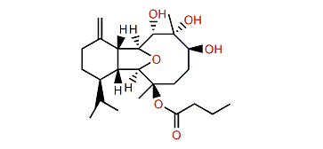 Litophynol B